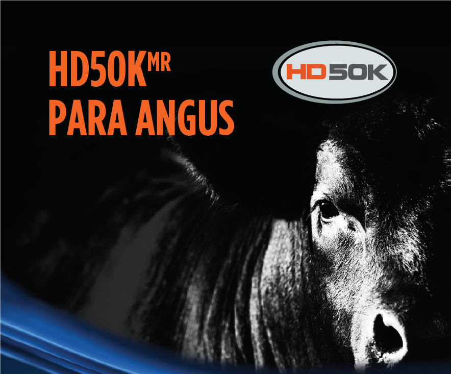 HD50K