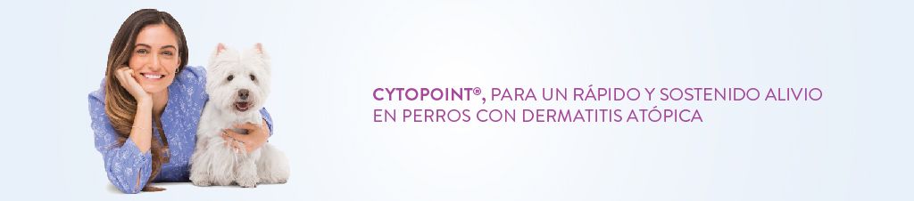 para un alivio rápido en perros con dermatitis atópica
/></p>
<p style=